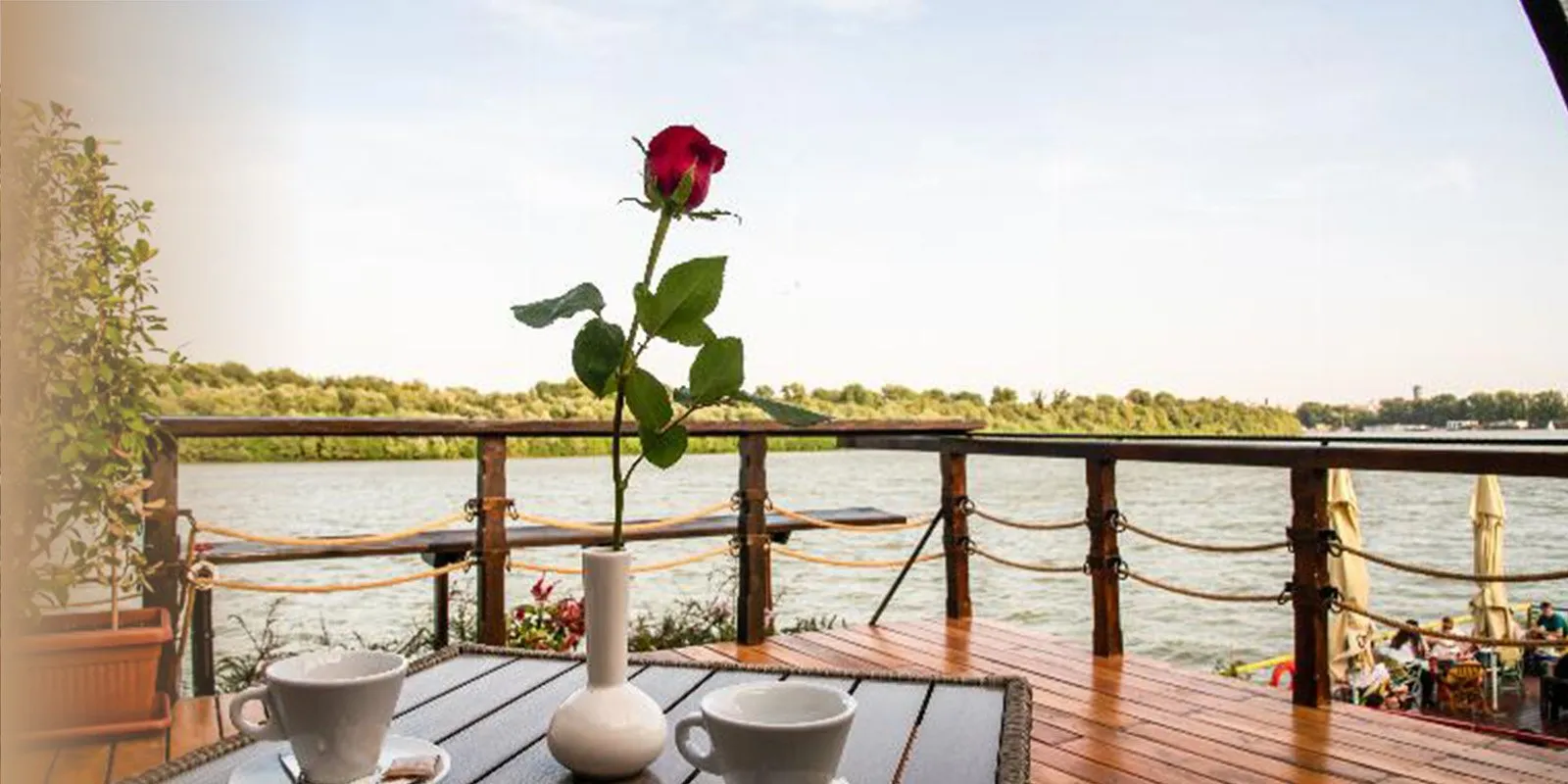 Kafa i ruža na terasi iznad Save